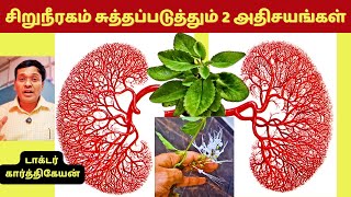 இந்த 2 உணவுகள் சிறுநீரகத்தை சுத்தப்படுத்தும் அதிசயங்களா  2 kidney detox foods [upl. by Ailegra]