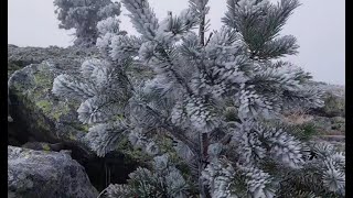 ¿Siberia No es el paraje de Soria que te dejará helado [upl. by Alleinad898]