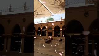 O Mere Nabi Pyare Nabi Pyare Nabi hai😍😍🤲shortvide rillsvairal [upl. by Orianna]