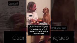 Cuando estás enojado y tú ego es más grande que las ganas de pedirle algo de comer a tu dueño 🤭🐶 [upl. by Ecirted]