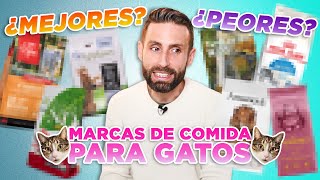 LAS 7 MEJORES y PEORES marcas de ALIMENTOS SECOS para GATOS elegidas por mis seguidores 😼🍲 [upl. by Levan]