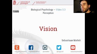 Vision  Biological Psychology 33 [upl. by Autum]