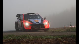 Central European Rally 2024 Test Thierry Neuville at Herbst Rallye Dobersberg 2024 [upl. by Atter]