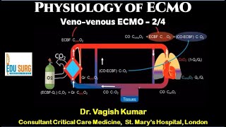 Physiology of ECMO  What is ECMO  Lifesaving support for failing lungs  VV ECMO explained [upl. by Ibrik159]