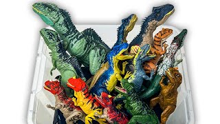 Jurassic World Allosaurus VS Giganotosaurus VS Ceratosaurus Collection Mattel DOMINION and More [upl. by Kristianson895]