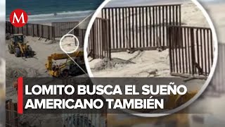 Perro cruza la frontera junto a 8 migrantes en Baja California [upl. by Talya553]