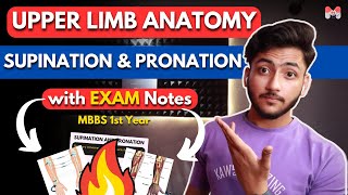 Upper Limb Anatomy Supination and Pronation  MBBS 1st Year Full Explanation With NotesMBBS World [upl. by Hanaj]