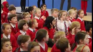 Moor Hall Primary Schools Road Safety Song 2017 [upl. by Ever]