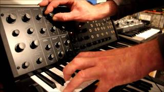 Korg ms20 mini and Moog Rogue [upl. by Ayna341]