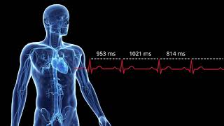 Elite HRV  Quick Heart Rate Variability Overview [upl. by Netfa409]