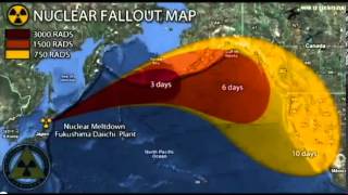 How to Survive Nuclear Radiation Fallout Guides Radiation Tips [upl. by Risley532]