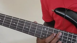 Farmer Nappy  How Ah Living Bass Cover [upl. by Enilaf]