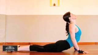 Bhujangasana  Steps and Benefits [upl. by Neeneg]