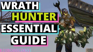 Wrath Hunter Essential Guide  How to Hunter  Wotlk Hunter Primer  WoW Classic [upl. by Melamed93]