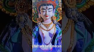 19 White Tara Sitatapatra Pacifying Mantra Alleviates All Suffering [upl. by Domenech]