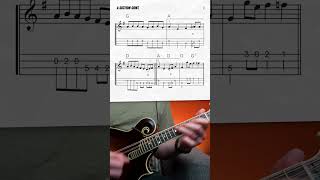 quotRed Wingquot Mandolin Lesson shorts [upl. by Remmus]