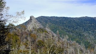 What to Expect on the Chimney Tops Trail Great Smoky Mountains [upl. by Warton]