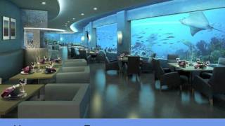 The Hydropolis  Underwater Luxury Boutique Hotelmov [upl. by Nhguavoj825]