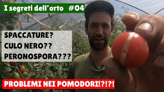 Perchè i POMODORI si SPACCANO o si ammalano 04 I segreti dellorto [upl. by Morly]