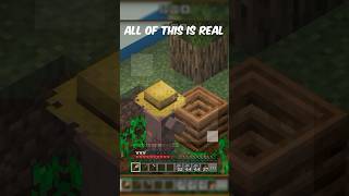 Truman show in Minecraft Pt1 trumanshow minecraft minecraftshorts [upl. by Ayanaj]