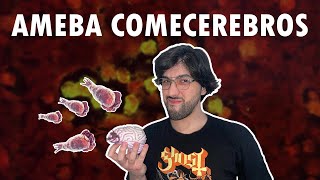 Naegleria Fowleri La AMEBA que DESTRUYE el CEREBRO [upl. by Einahpetse]