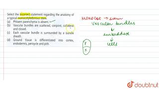 Select the incorrect statement regarding the anatomy of a typical monocotyledonous stem [upl. by Flavian]