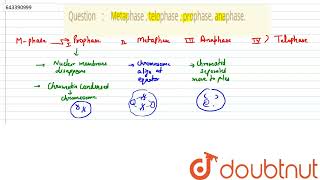 Metaphase  telophase  prophase anaphase\n  10  CELL CYCLE CELL DIVISION AND STRUCTURE OF [upl. by Terr]