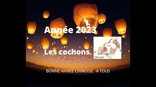 🐷 Cochon sangliers signe astrologique chinois pour lannée 2023🐷 [upl. by Toulon281]