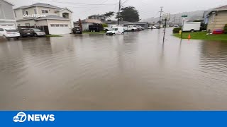 Sewage floods entire Bay Area street littered with toilet paper and fecal matter [upl. by Goldenberg]