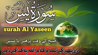 Surah Yaseen سورة يس  This Majestic VOICE will TOUCH Your HEART إن شاء الله  Hafiz Abu Bakar [upl. by Ahsinut]