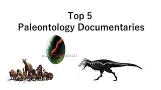 My Top 5 Favorite Paleontology Documentaries [upl. by Imogene]