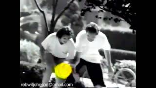 Yellow Pages Commercial 1996 1 [upl. by Nabala839]