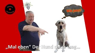 Der Hund muss weg [upl. by Lihcox]