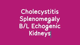 Splenomegaly  Cholecystitis  Parenchymal Change on Ultrasound [upl. by Aronel]