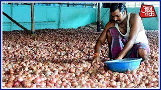 How Onion Auction Was Rigged In Madhya Pradesh To Sell To Private Players At Throwaway Prices [upl. by Bjork]