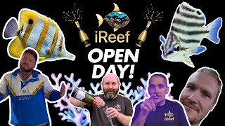 New Saltwater Aquarium Shop Tour UK  iReef Rochdale [upl. by Roderica]