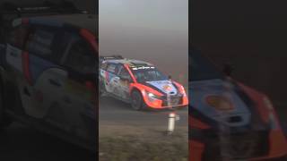 WRC Thierry Neuville Mistake at Herbst Rallye Dobersberg 2024 [upl. by Aseral343]