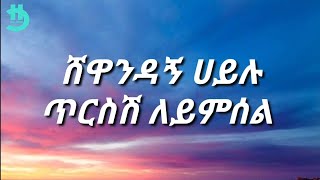 Shewandagne Hailu  Tersesh leyimsel Lyrics [upl. by Acissev]