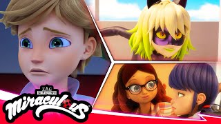 MIRACULOUS  🐞 COMPILACIÓN 4 🐾  Temporada 5 [upl. by Lodge]