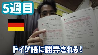 【5週目】ドイツ語をやったらエグかった【とにかく回すしかない！】 [upl. by Concordia]