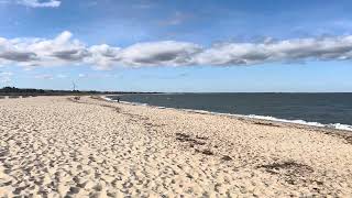 Beach in Lewes Delaware [upl. by Magdala939]