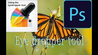 How to Use the Eyedropper and Color Sampler Tools in Photoshop CC Full Bangla Tutorial 2018 [upl. by Akehsay]