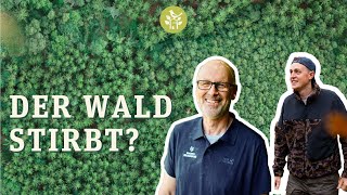 Der Wald stirbt – Peter und Tobias Wohlleben [upl. by Demetri325]