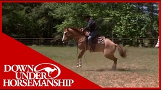 Clinton Anderson Presents Soxie under Saddle [upl. by Eintrok]