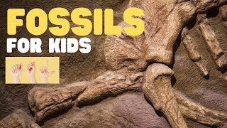 ASL Fossils for Kids [upl. by Werdn]