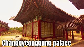 Seoul  Changgyeonggung palace [upl. by Nhtanhoj]