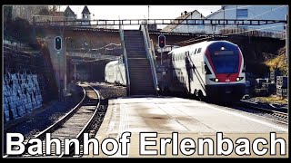 Züge am Bahnhof Erlenbach ZH Kanton Zürich Schweiz 2020 [upl. by Phillis]