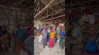 Suri Women and Corn Processing in Tum Ethiopia SuriWomen TraditionalGrinding rurallife [upl. by Barbabra]