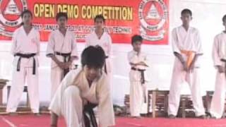 chinese kenpo karate demo [upl. by Primaveria]