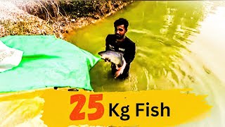 25 kg Fish release in pond Best Fishing video [upl. by Mak]